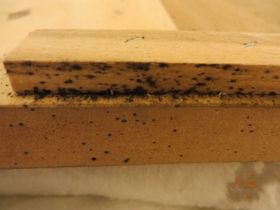 Heavy black bed bug fecal spotting along the edge of a wooden bed slat, the spots concentrated where the slat meets the frame