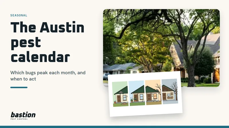Cover for the Austin pest calendar: a live oak shaded Austin street beside a four season diagram of the pests around one house