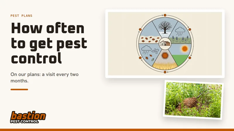 Cover for the how-often guide: our year wheel drawing of six two-month stretches around a ranch house, with a photo of a fire ant mound in Austin
