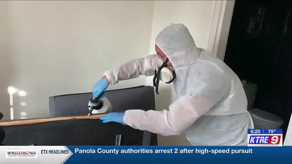 Still from a KTRE news report with a pest control expert giving bed bug advice