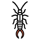 Earwigs control