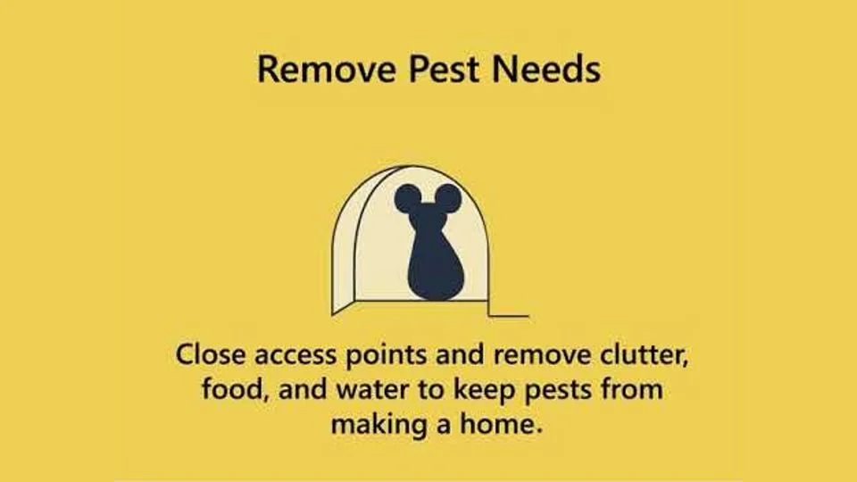 A yellow slide titled Remove Pest Needs, with a mouse in a mouse hole, from the video Integrated Pest Management at Home