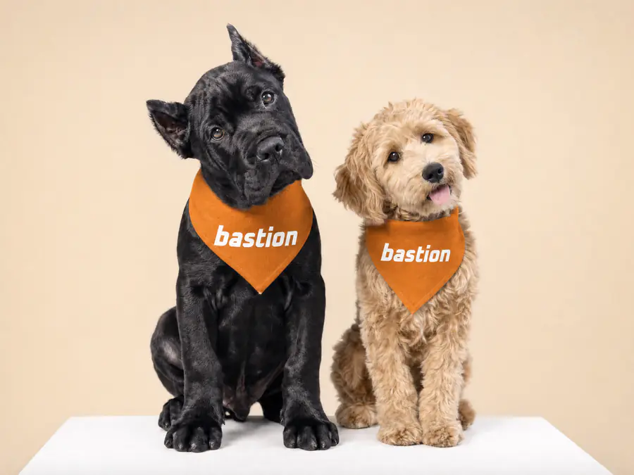 Black Cane Corso puppy and tan doodle puppy wearing burnt orange Bastion Pest Control bandanas, mascots for pet friendly pest control in Austin, TX