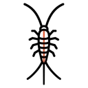 Silverfish control