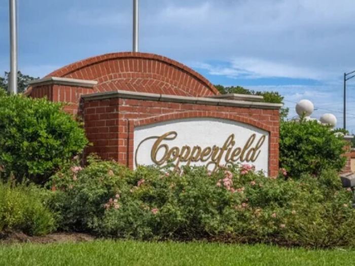 Copperfield neighborhood in North Austin, Texas serviced by Bastion Pest Control