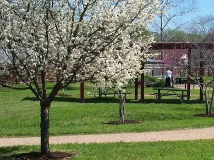 Gracy Woods neighborhood in North Austin, Texas serviced by Bastion Pest Control